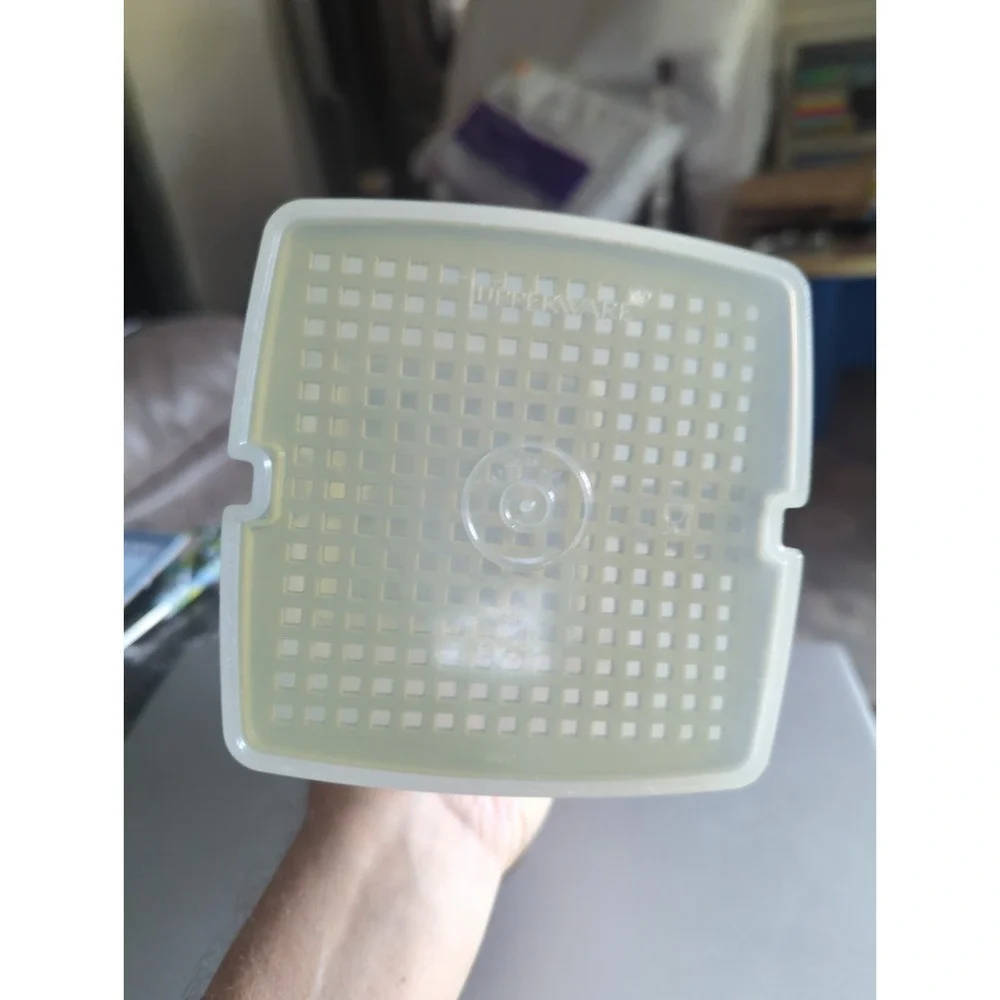 Vintage Large Tupperware Pick-A-Deli Container Sheer & Avocado Green
